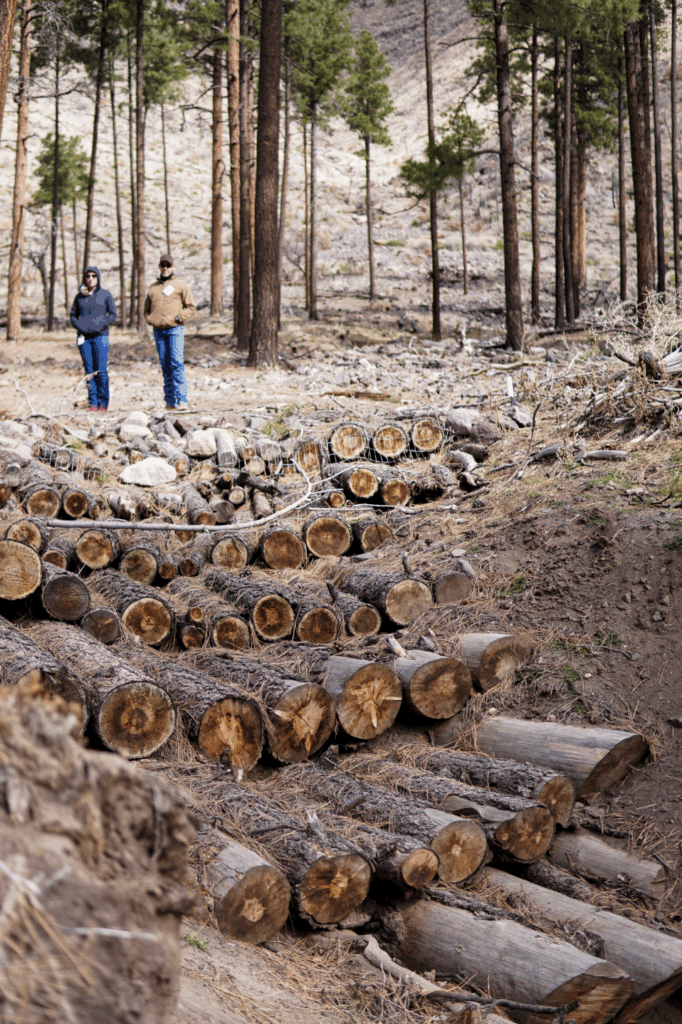 logs installed into erroded drainage prevent soil loss and slows water down