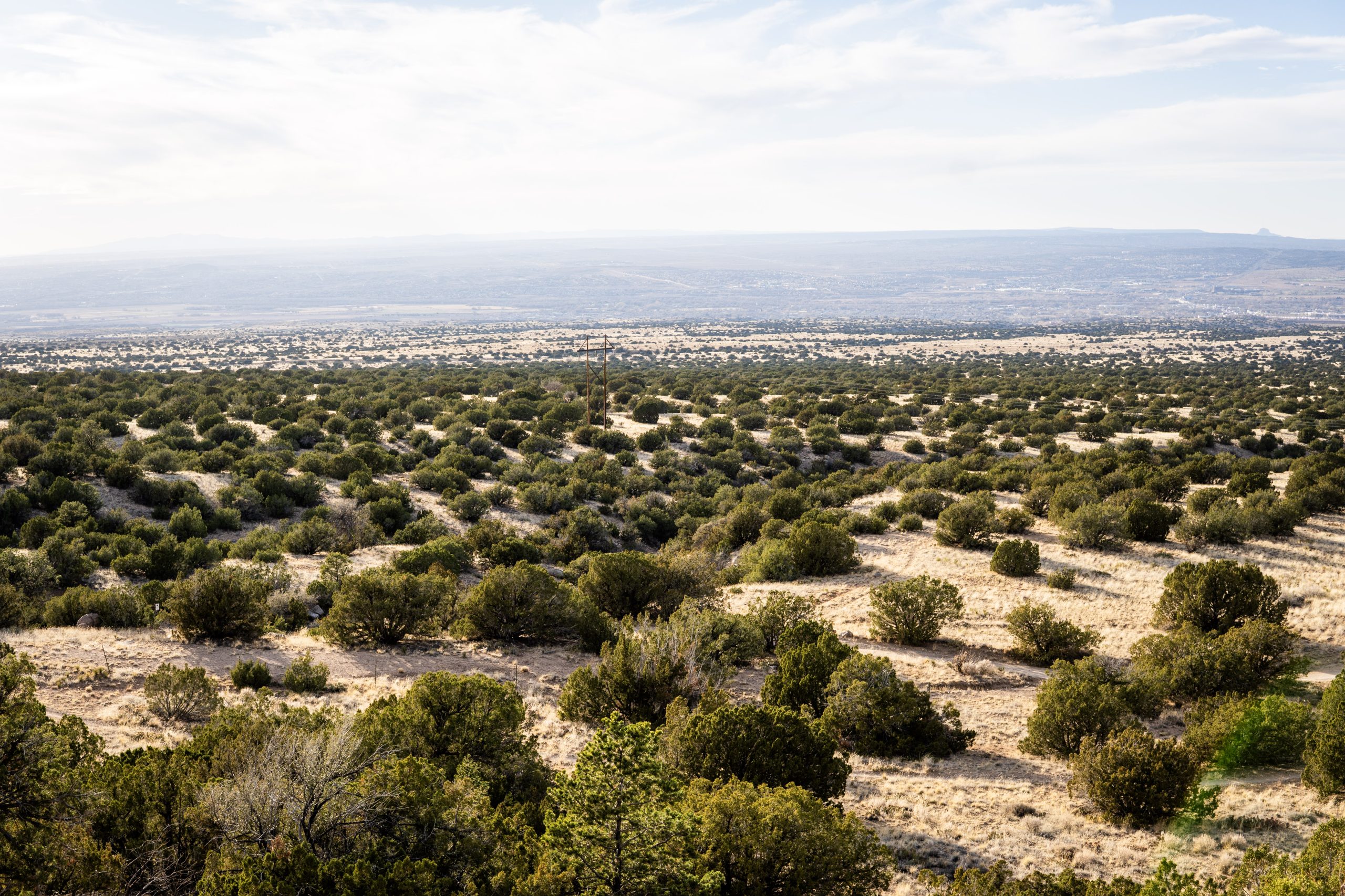 Pinyon-Juniper Mapping Project