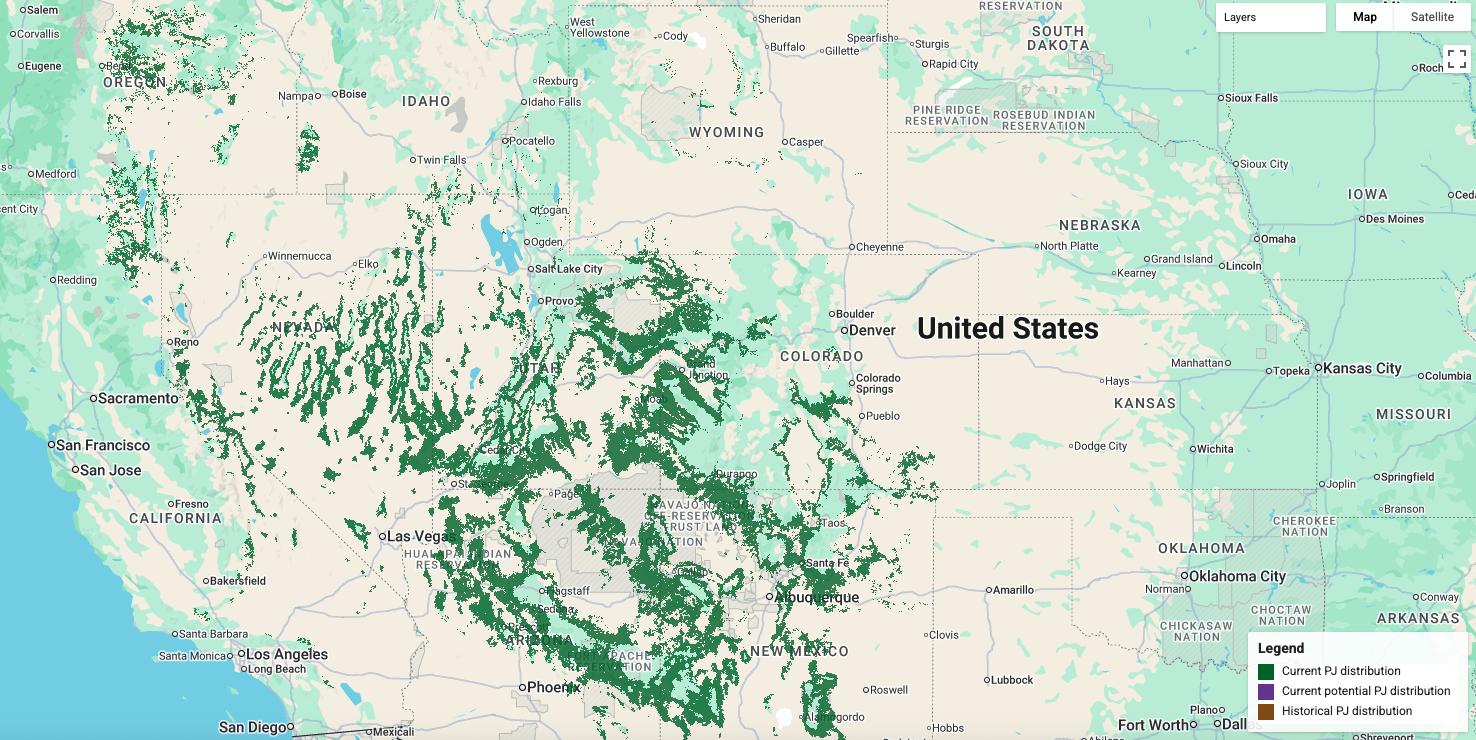 Pinyon-Juniper Extent Maps